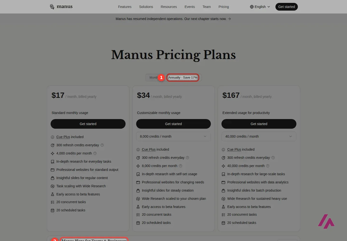 Manus pricing page switched to yearly billing, with the Annually, Save 17% toggle highlighted and prices of $17, $34 and $167 a month