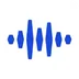 Logo of Voice AI