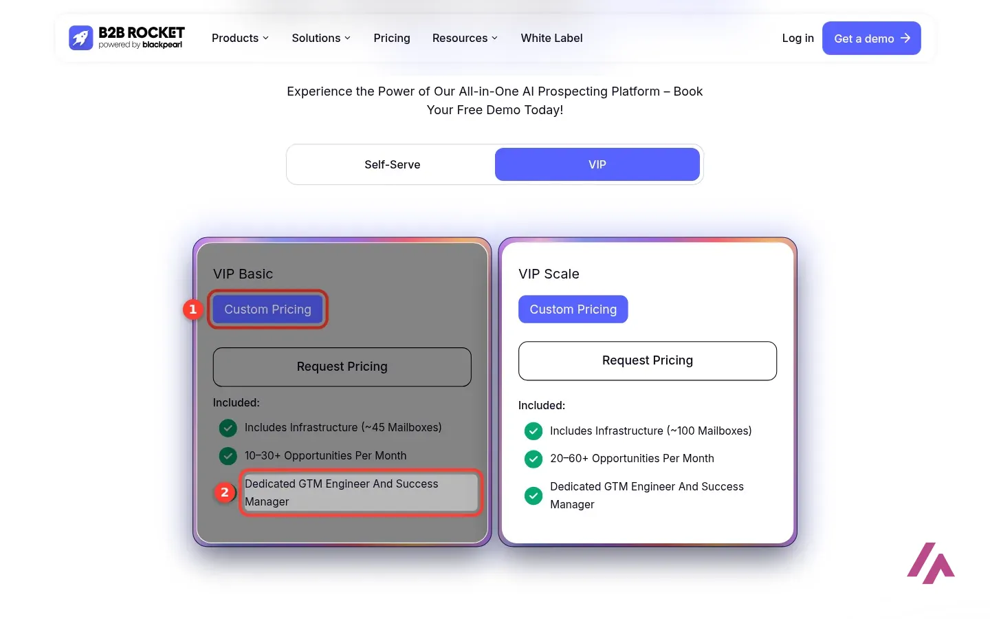 B2B Rocket VIP pricing tab with VIP Basic and VIP Scale cards, Custom Pricing and Dedicated GTM Engineer And Success Manager highlighted